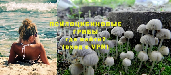 таблы Верея