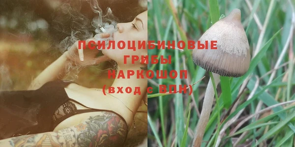 apvp Тихвин