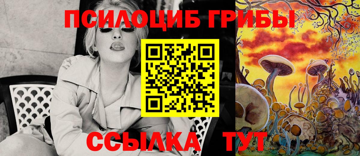 Псилоцибиновые грибы GOLDEN TEACHER Можайск
