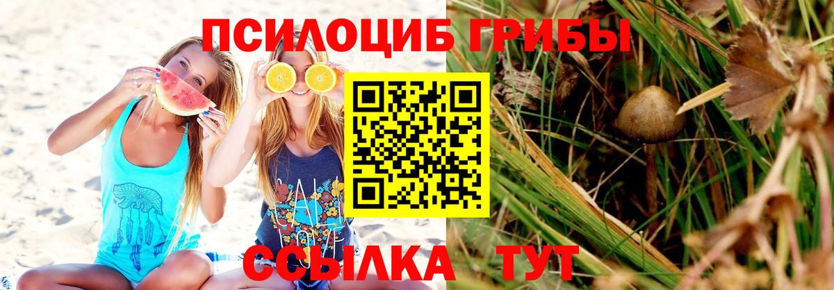 Галлюциногенные грибы Magic Shrooms  Вход с VPN  Псилоцибиновые грибы Psilocybe  Можайск 